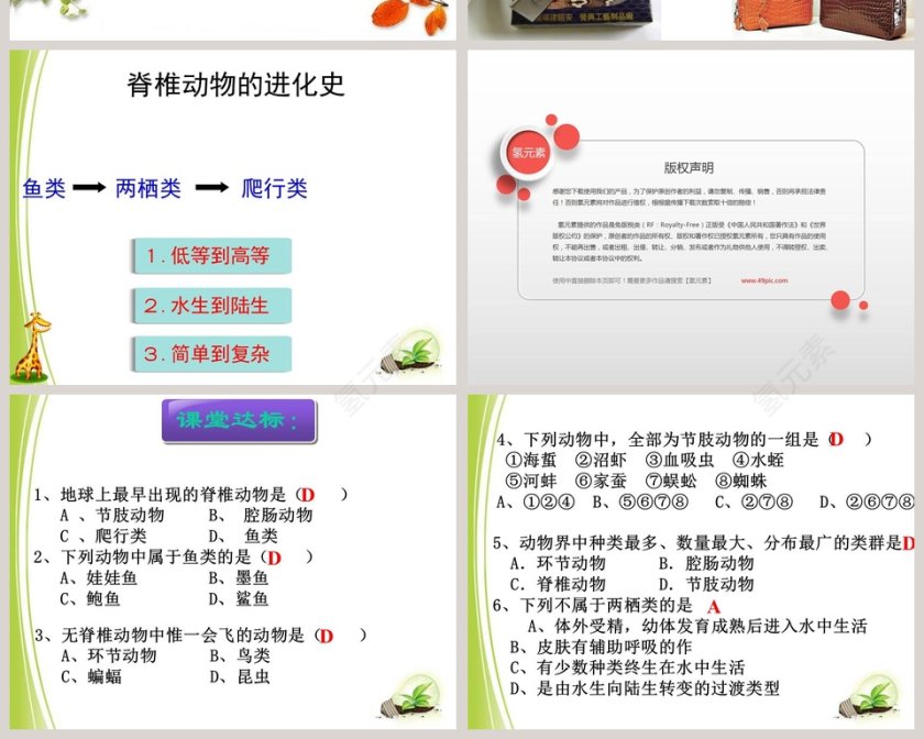 第-4教学ppt课件第6张