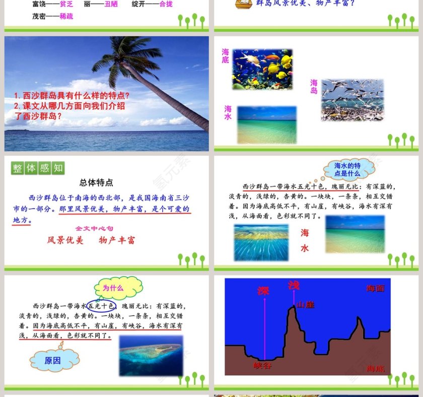 课文解析三年级语文上册富饶的西沙群岛语文课件PPT第4张