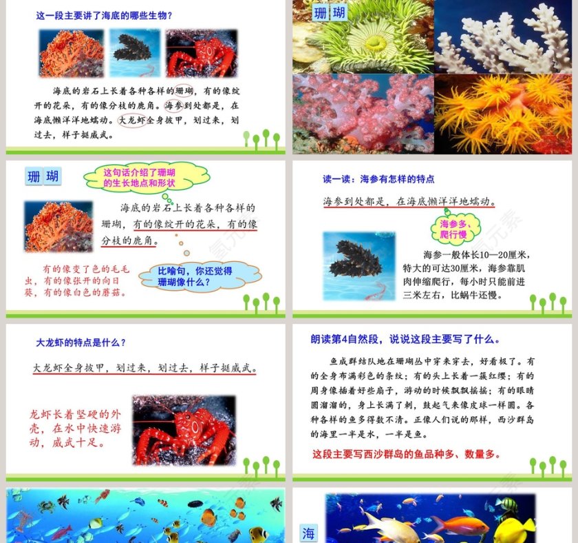 课文解析三年级语文上册富饶的西沙群岛语文课件PPT第5张