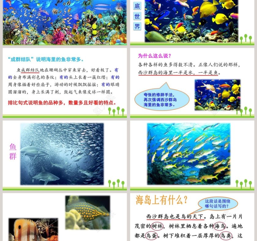 课文解析三年级语文上册富饶的西沙群岛语文课件PPT第6张