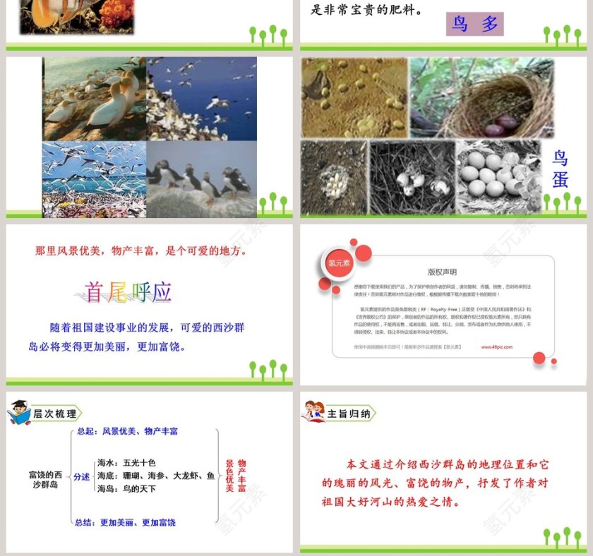 课文解析三年级语文上册富饶的西沙群岛语文课件PPT第7张