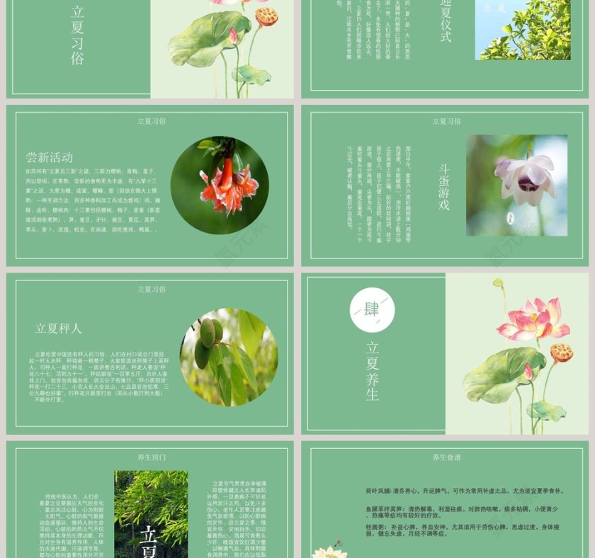 绿色清新传统节气之立夏PPT模板  第3张