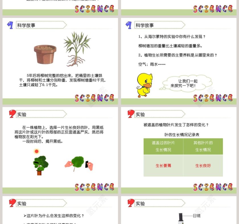 林中的树第一单元 走进树林教学ppt课件第2张