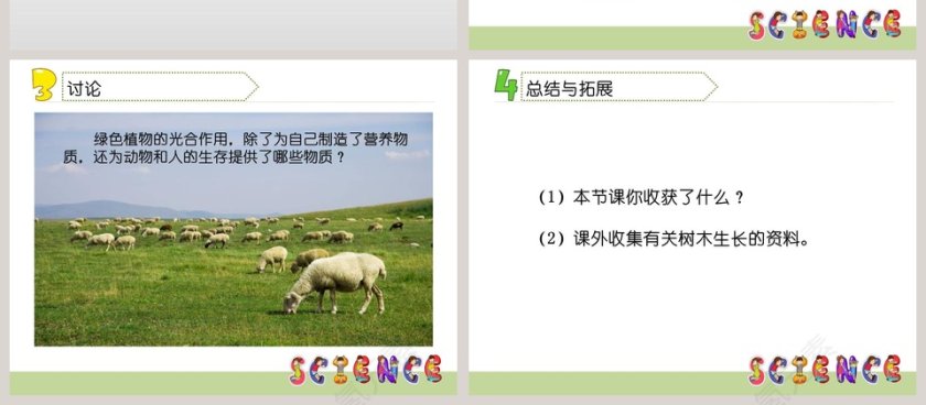 林中的树第一单元 走进树林教学ppt课件第4张