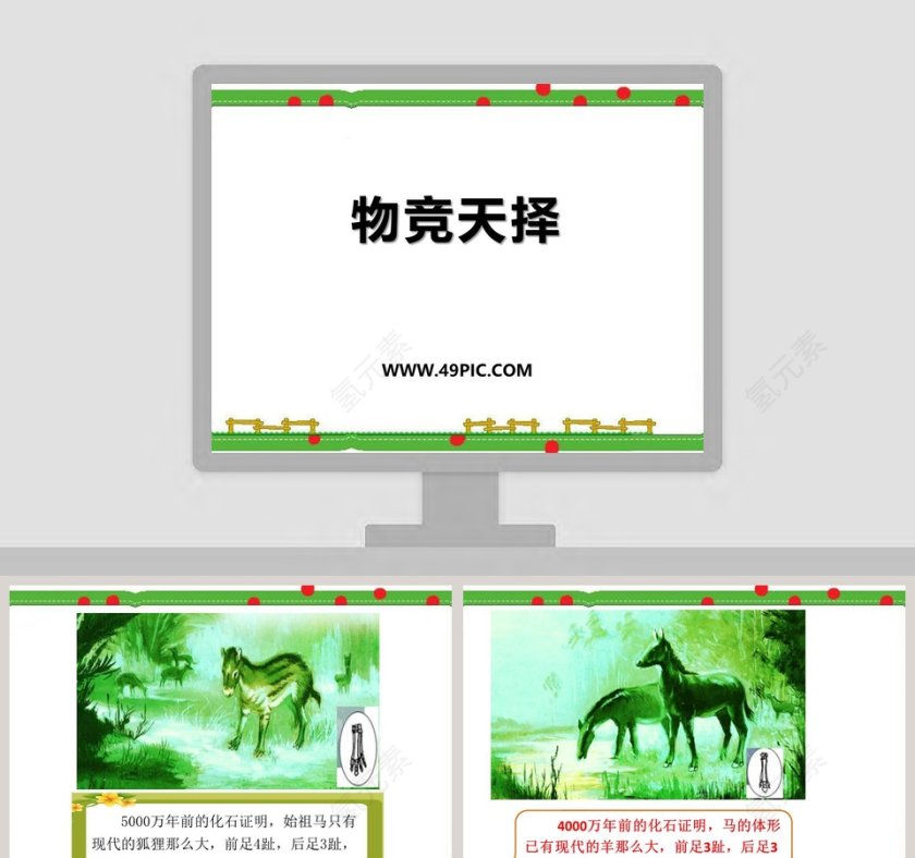 物竞天择教学ppt课件第1张