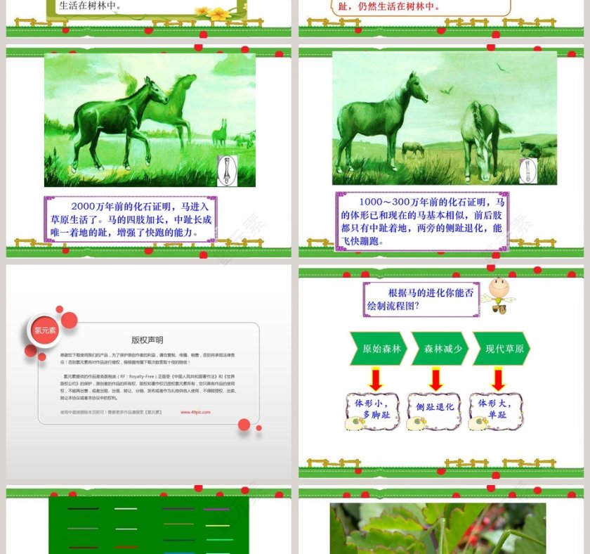 物竞天择教学ppt课件第2张