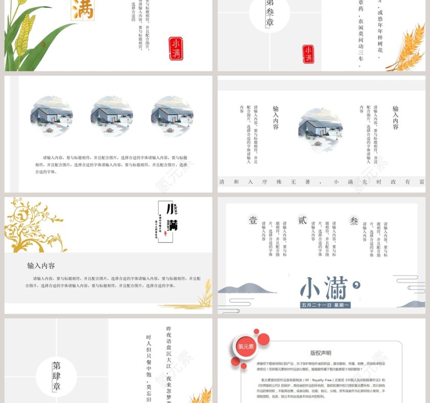 简约二十四节气小满介绍PPT模板 第3张