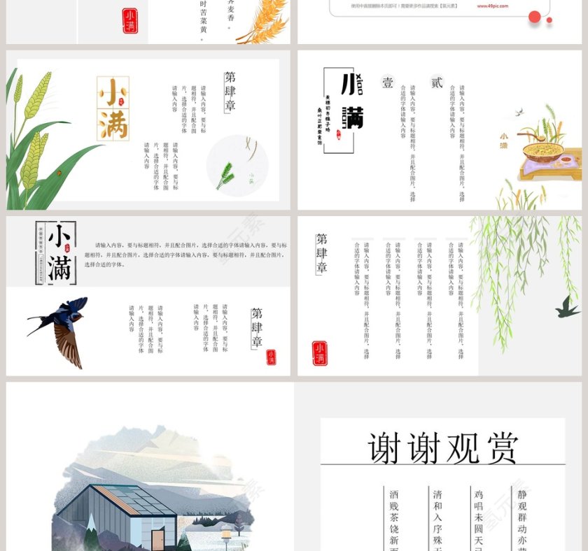 简约二十四节气小满介绍PPT模板 第4张
