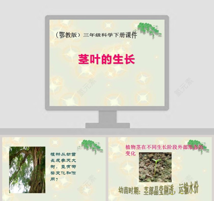 茎叶生长特点与PPT模板应用第1张