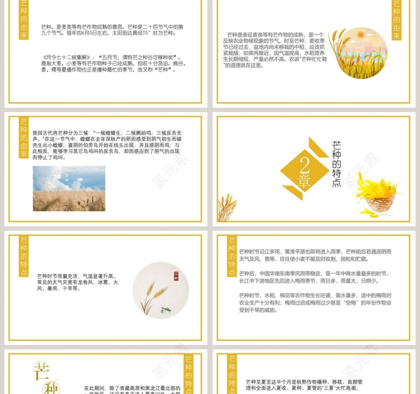 二十四节气民俗介绍芒种PPT模板第2张