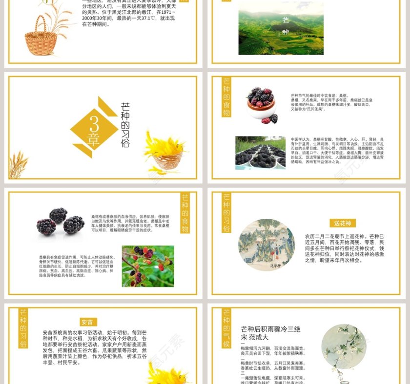 二十四节气民俗介绍芒种PPT模板第3张