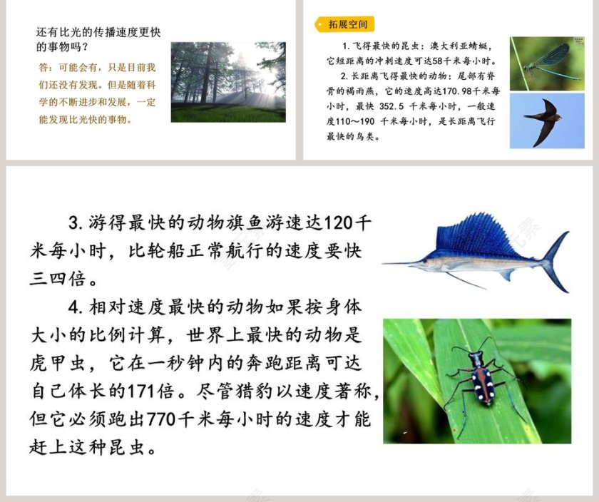 课文解析五年级语文上册什么比猎豹的速度更快语文课件PPT第5张