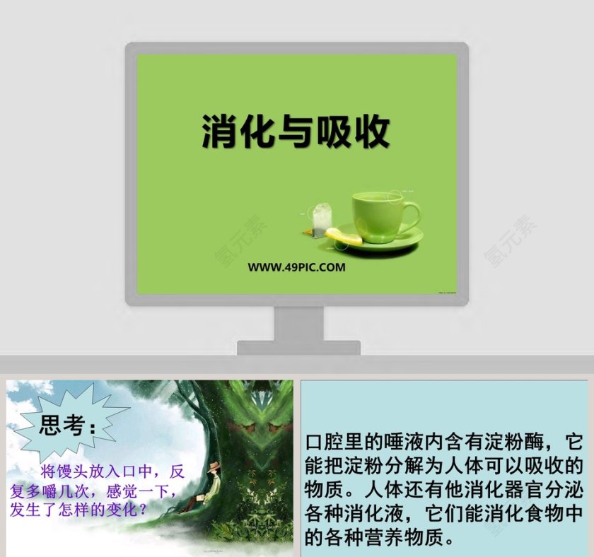 消化与吸收教学ppt课件第1张