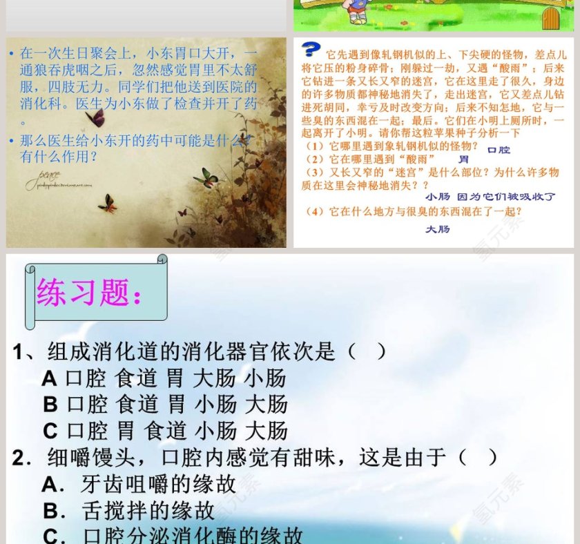 消化与吸收教学ppt课件第4张