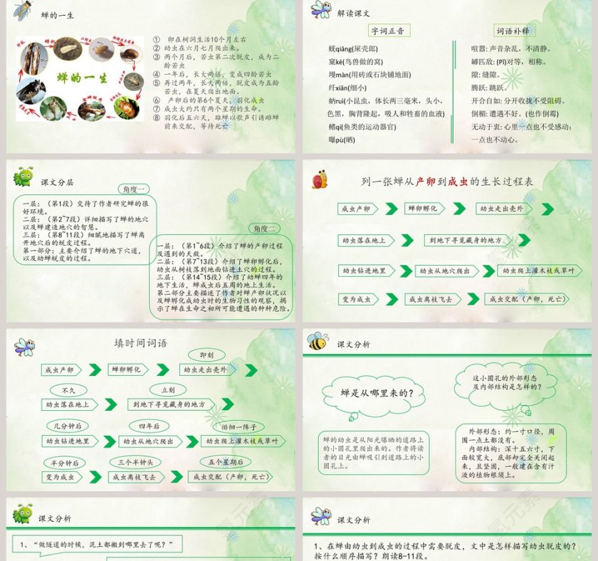 八年级语文课件《蝉》PPT第2张