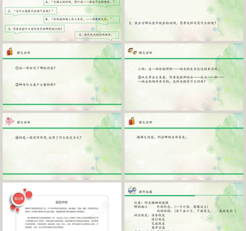 八年级语文课件《蝉》PPT第3张