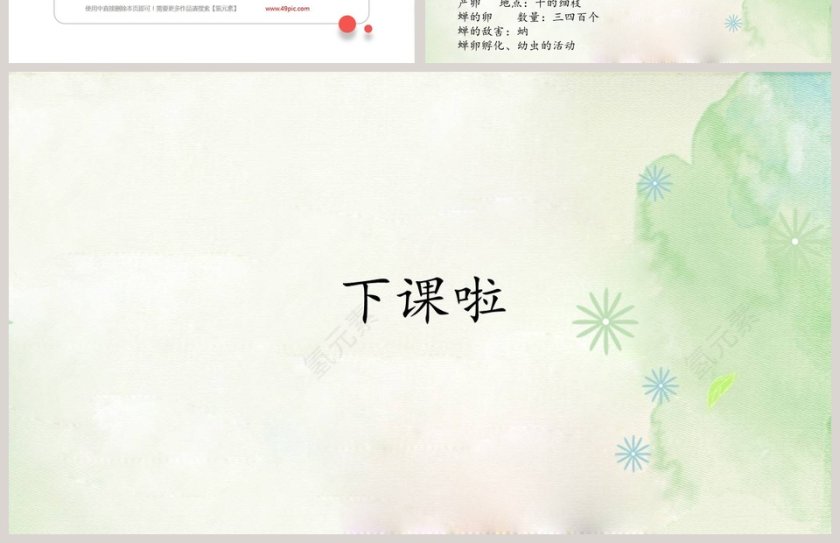 八年级语文课件《蝉》PPT第4张