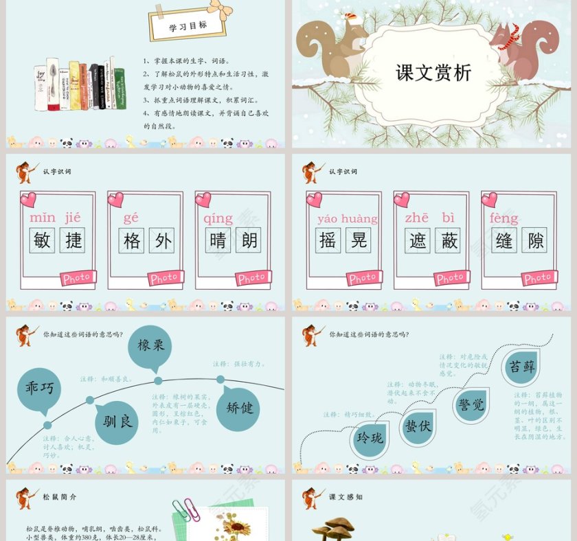 五年级语文课件PPT松鼠第2张
