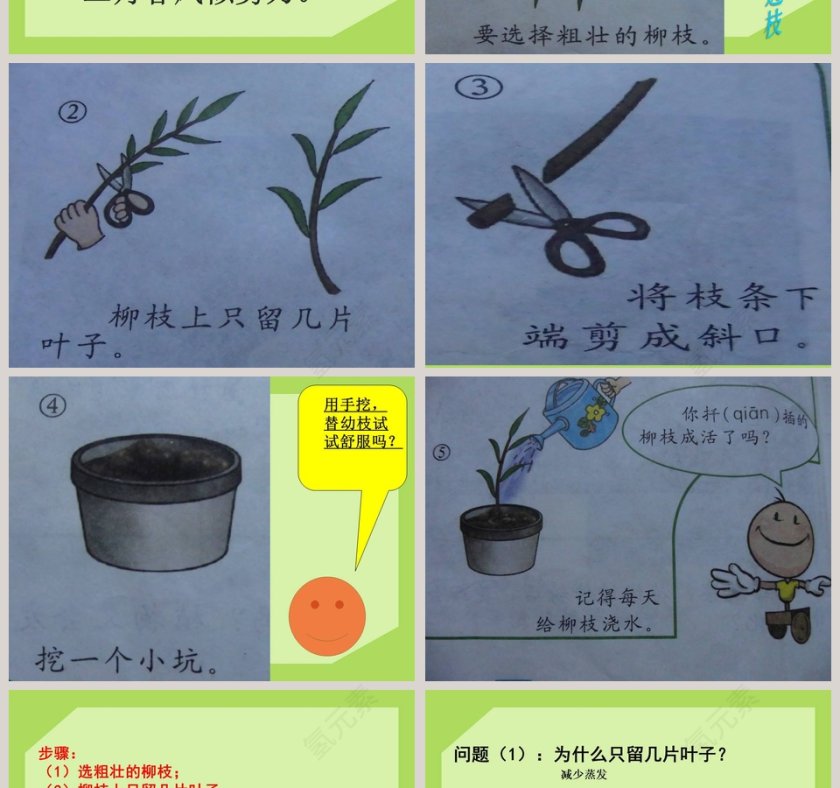 无心插柳柳成荫：节假日行业PPT模板设计灵感第2张