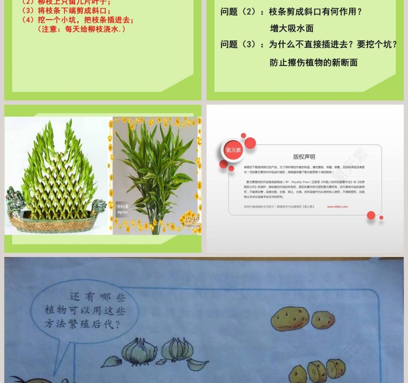 无心插柳柳成荫：节假日行业PPT模板设计灵感第3张