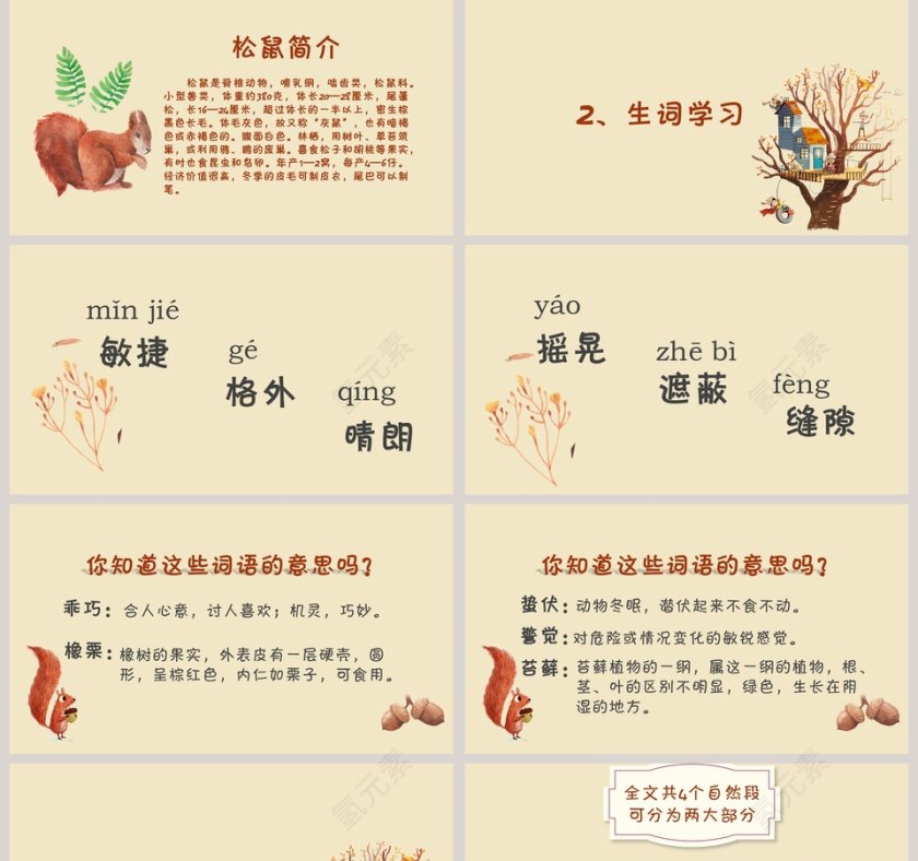 黄色简约卡通五年级语文课件《松鼠》PPT第2张