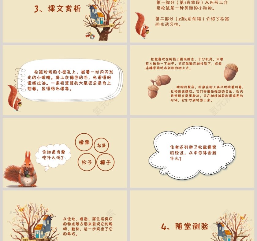 黄色简约卡通五年级语文课件《松鼠》PPT第3张