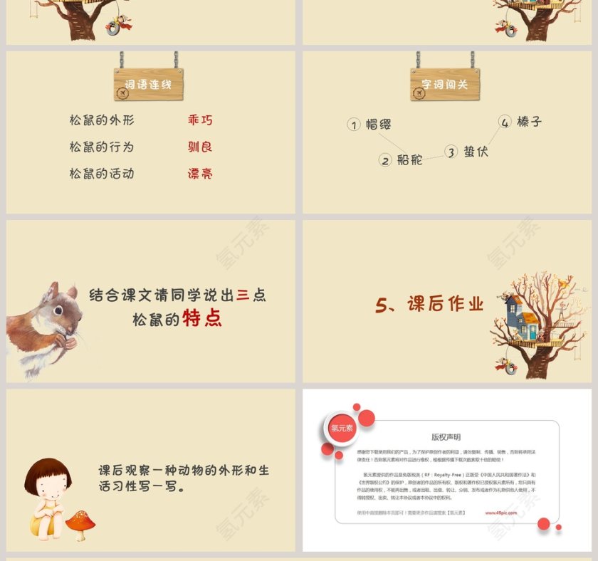 黄色简约卡通五年级语文课件《松鼠》PPT第4张