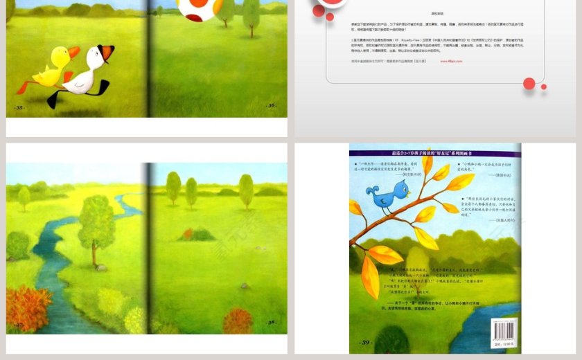 鸭子鹅幼儿绘本教育课件 第5张