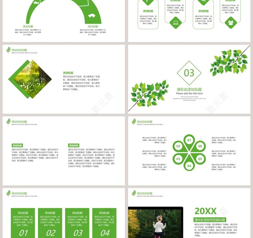 树叶教学课件模板教学说课PPT第3张