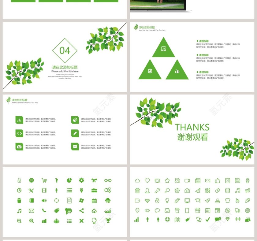 树叶教学课件模板教学说课PPT第4张