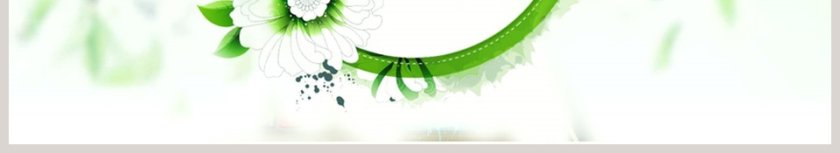 小清新201X信息化教学设计PPT第6张