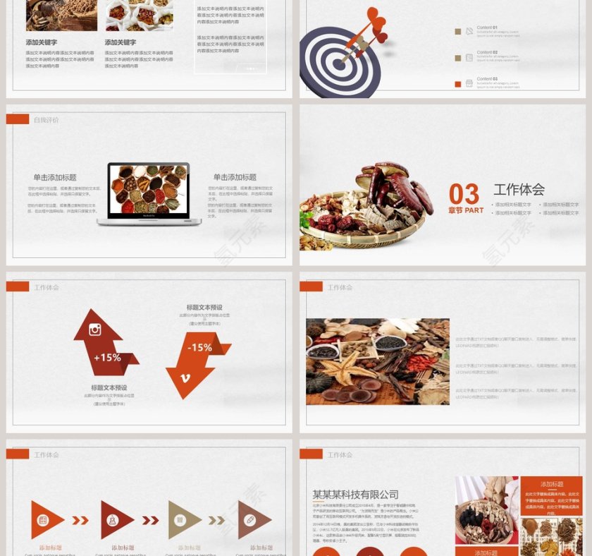 中医药产品推广模板工作概述PPT第3张