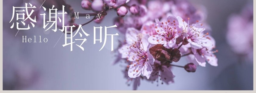 你好五月总结汇报PPT模板第4张