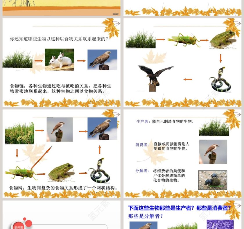 有趣的食物联系教学ppt课件第2张