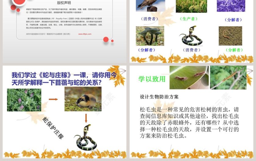 有趣的食物联系教学ppt课件第3张