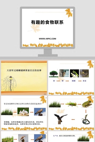 有趣的食物联系教学ppt课件