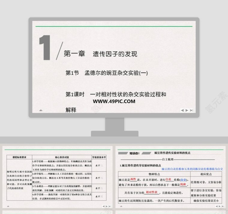 第-节孟德尔的豌豆杂交实验教学ppt课件第1张