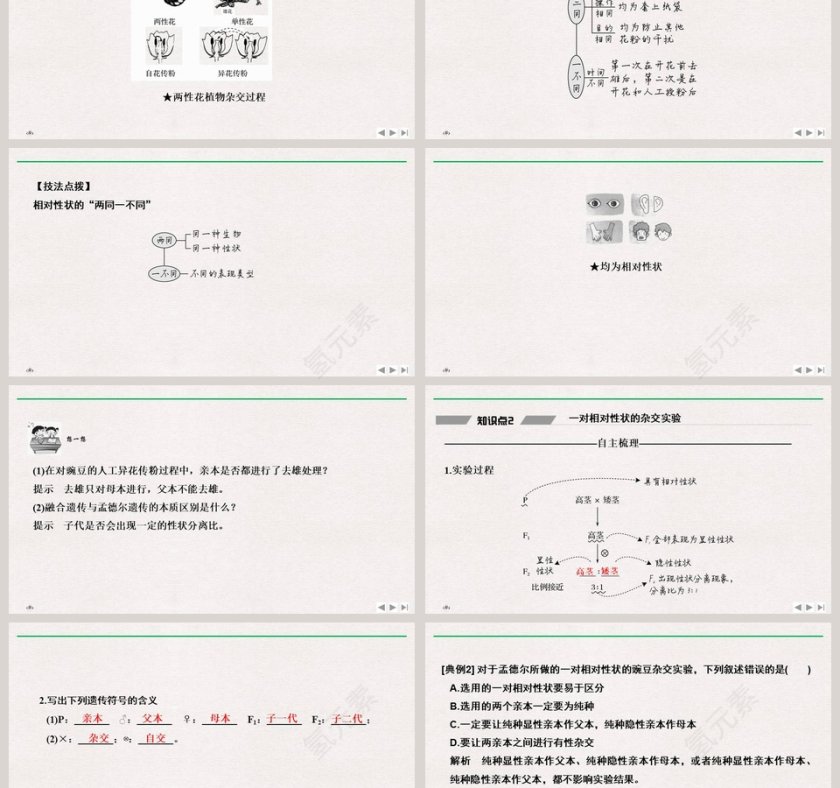 第-节孟德尔的豌豆杂交实验教学ppt课件第3张