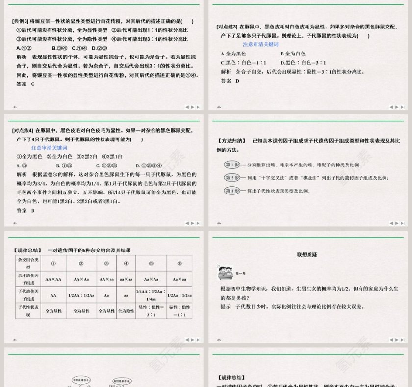 第-节孟德尔的豌豆杂交实验教学ppt课件第5张