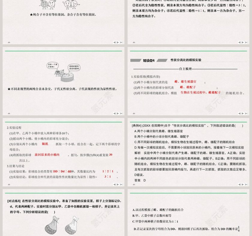 第-节孟德尔的豌豆杂交实验教学ppt课件第6张