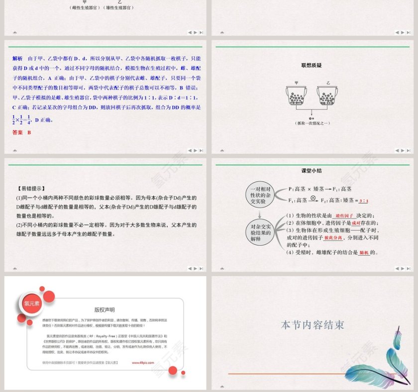 第-节孟德尔的豌豆杂交实验教学ppt课件第7张