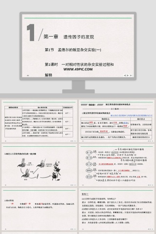 第-节孟德尔的豌豆杂交实验教学ppt课件