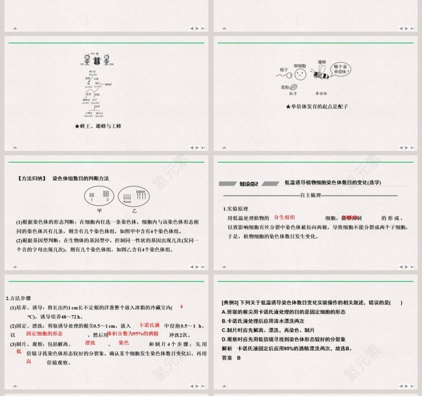 第-2教学ppt课件第4张