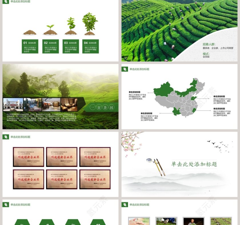 绿色海峡茶文化俱乐部第2张