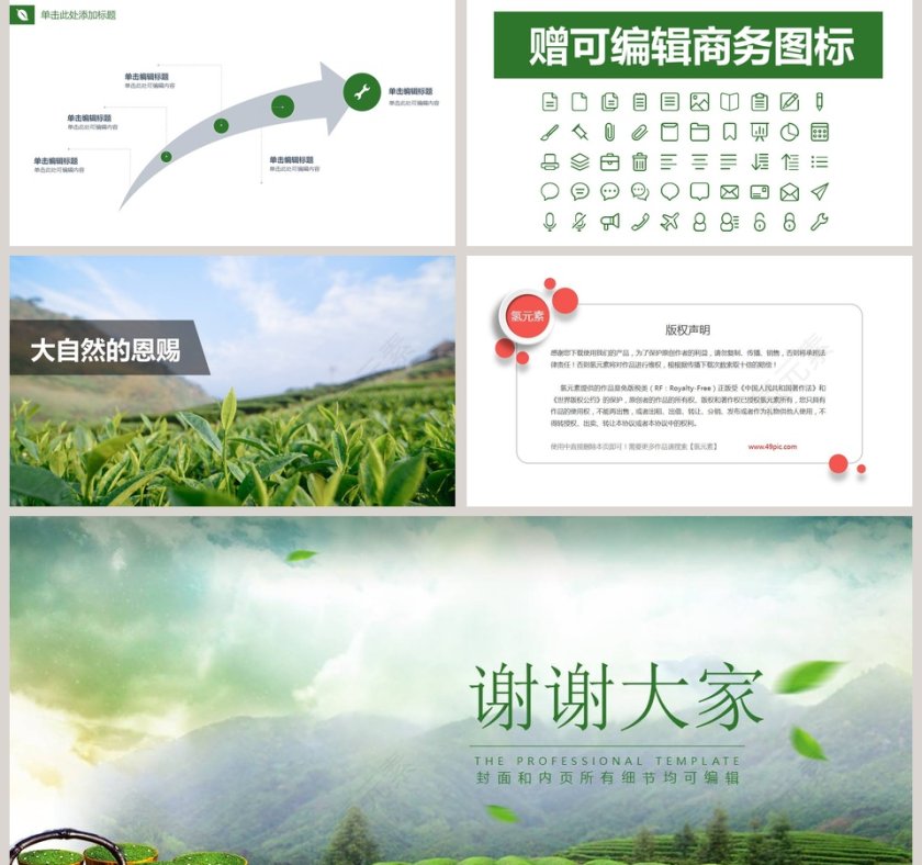 绿色海峡茶文化俱乐部第5张