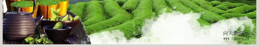 绿色海峡茶文化俱乐部第6张