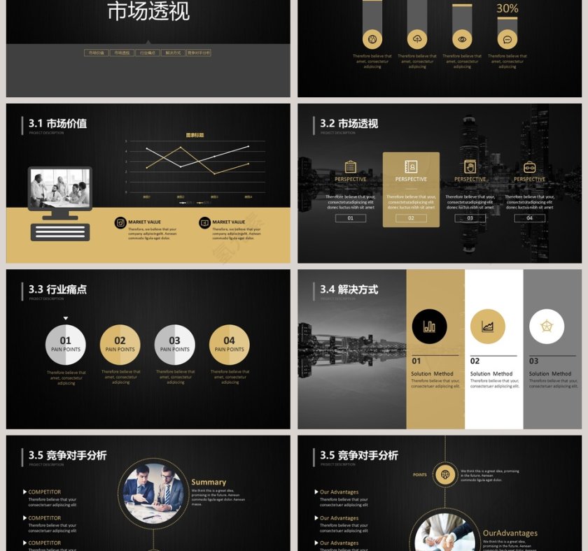 黑色大气20xx年完整框架商业计划书第3张