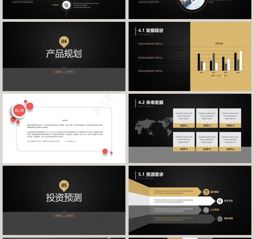 黑色大气20xx年完整框架商业计划书第4张