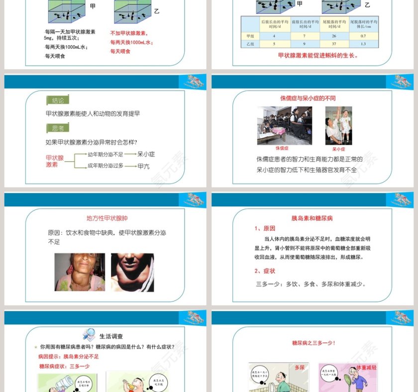 第四节-激素调节教学ppt课件第3张