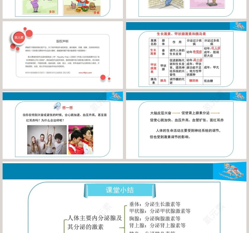 第四节-激素调节教学ppt课件第4张